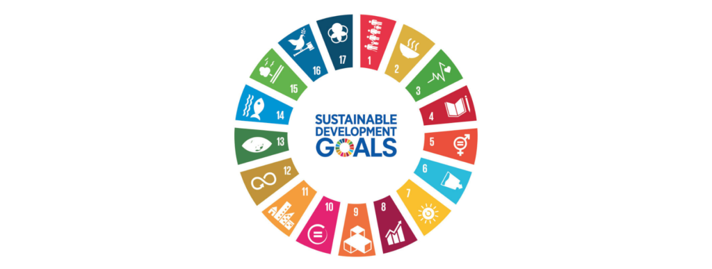 UN SDG's
